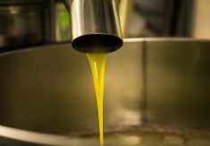 c77097b5bfb633abb91a9257de2ddba3cf0be021